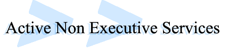 Active Non Executive Services